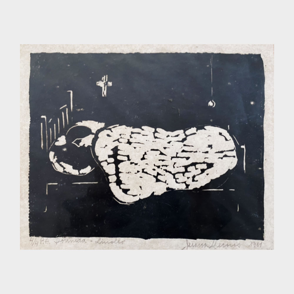 juana-lecaros--galeria-salvo